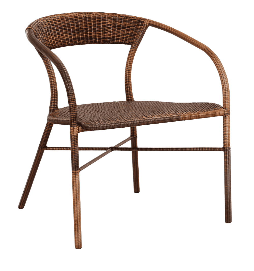 Lively Iron Chair