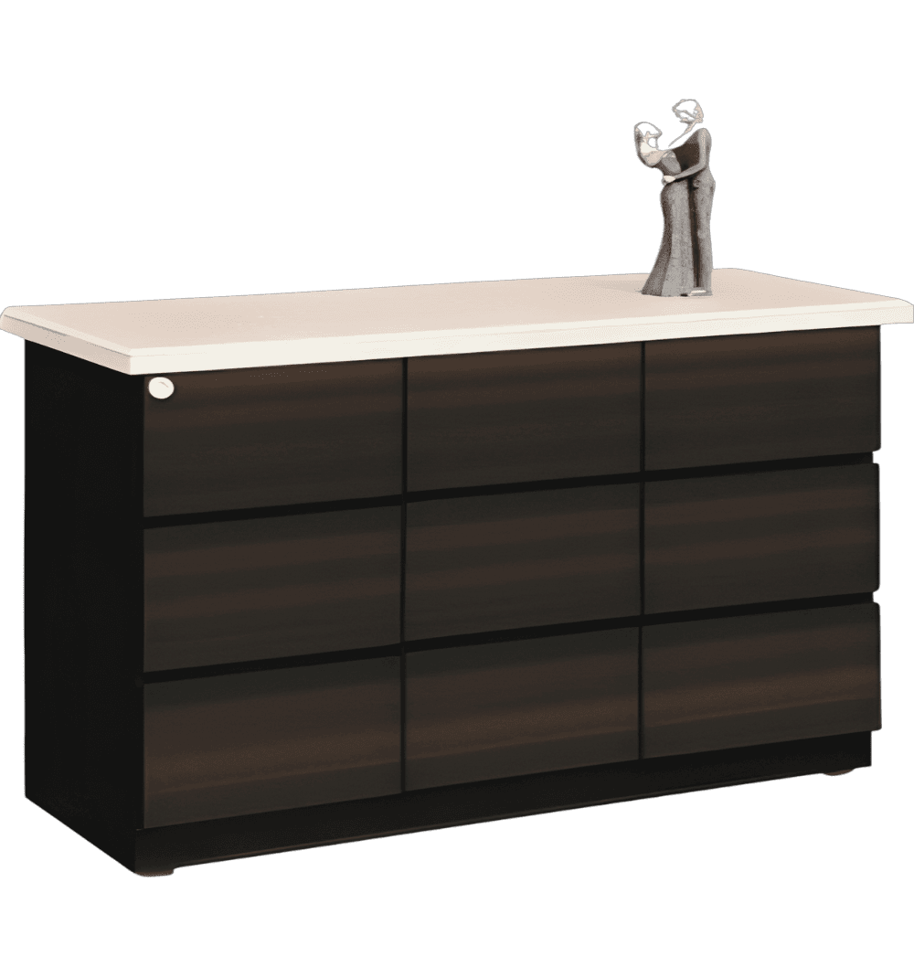 vasudha Multipurpose Storage